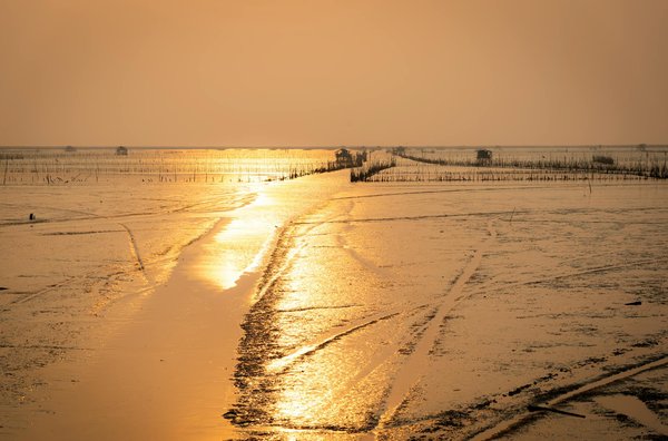 Quels sont les conseils pour un safari photographique dans le Serengeti, Tanzanie?