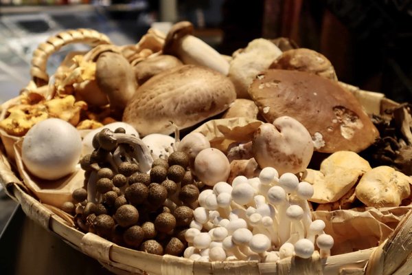 Quel est la plus belle ville du monde actuellement ?